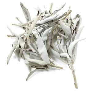 Folha Salvia Branca 10gr