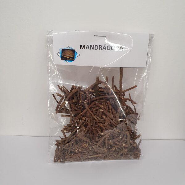 Mandrágora