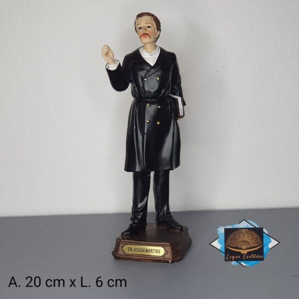 Imagem 15cm Dr Sousa Martins