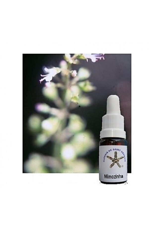 Floral Mimosinha 10 ml