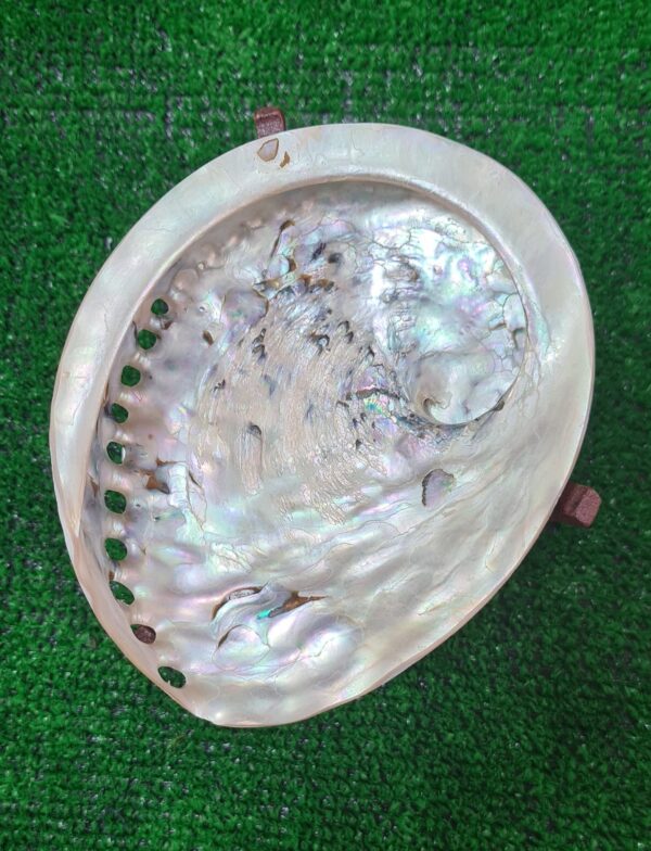 Conj Abalone Branco com suporte