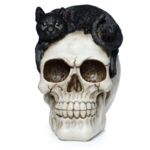 Caveira com Gato Preto