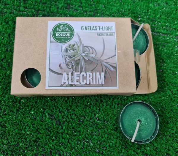 Lamparina Alecrim