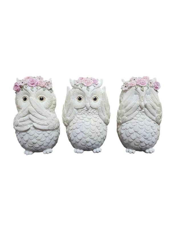3 Corujas com rosinhas