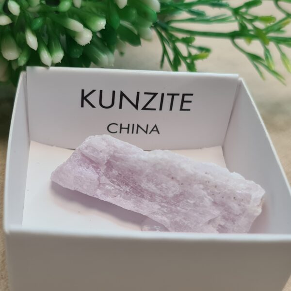 Kunzite 4x4