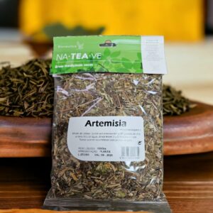 Artemisia