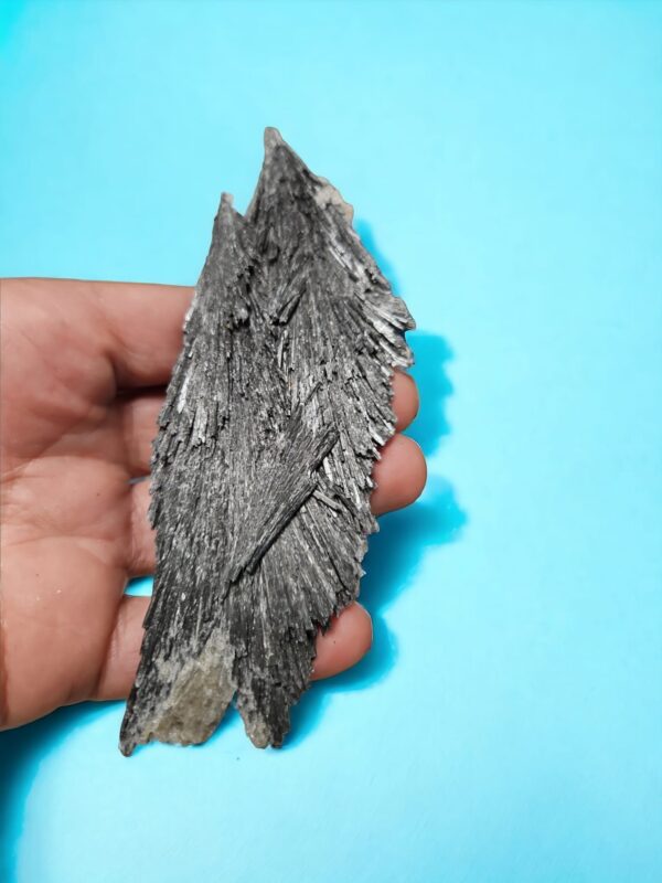 Vassoura de Bruxa. Cianita Negra 14cm
