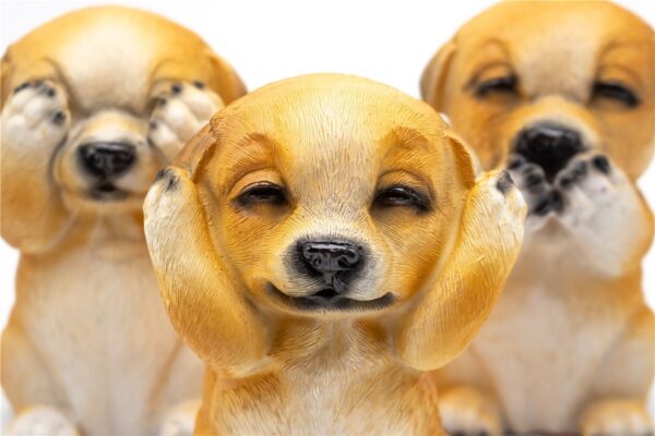 3 Cães Sábios