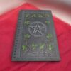 Livro Wicca De volta às sombras