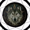 Caça Sonhos design Lisa Parker Cabeça de Lobo 33c