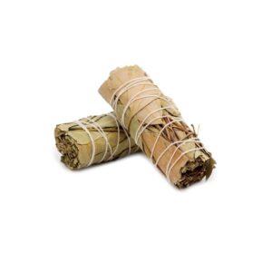 Tocha Salvia Louro 11/15cm