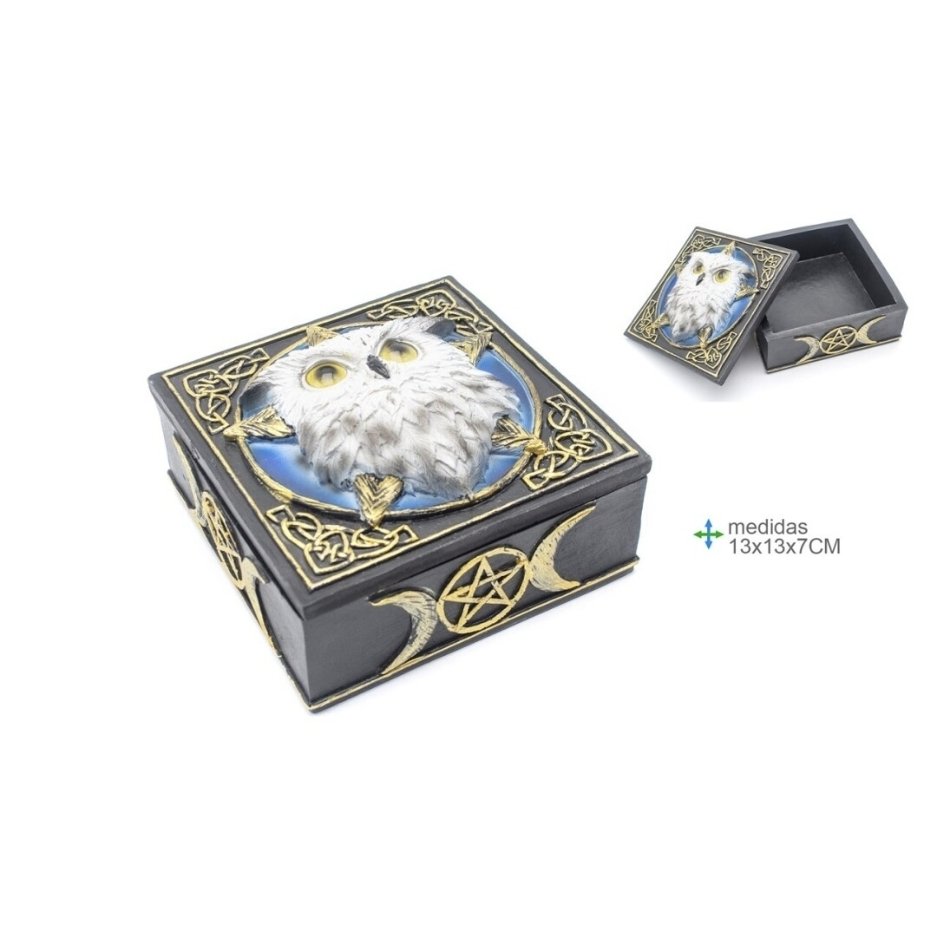 Caixa Mística Coruja Branca com Pentagrama – 13x13x7cm