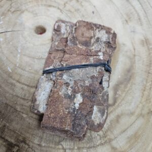 Èpò-Òbò – Casca Sagrada do Obi Branco 100g