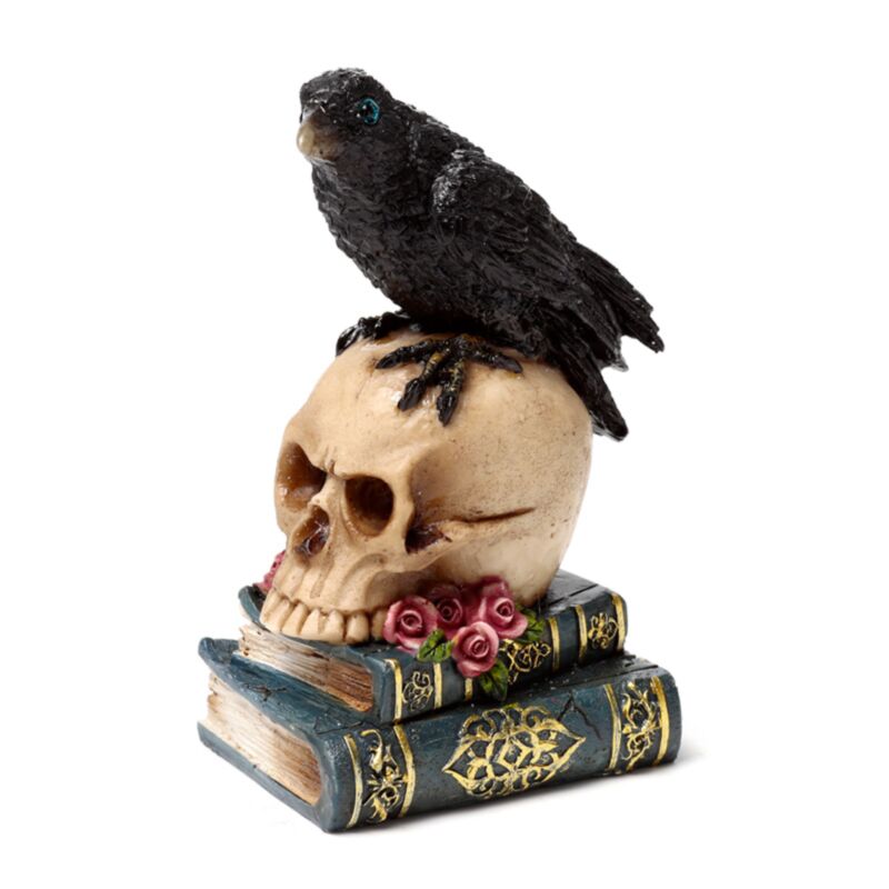 Corvo empoleirado numa caveira e livros - Image 2