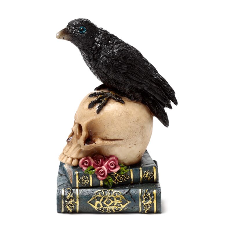 Corvo empoleirado numa caveira e livros - Image 3