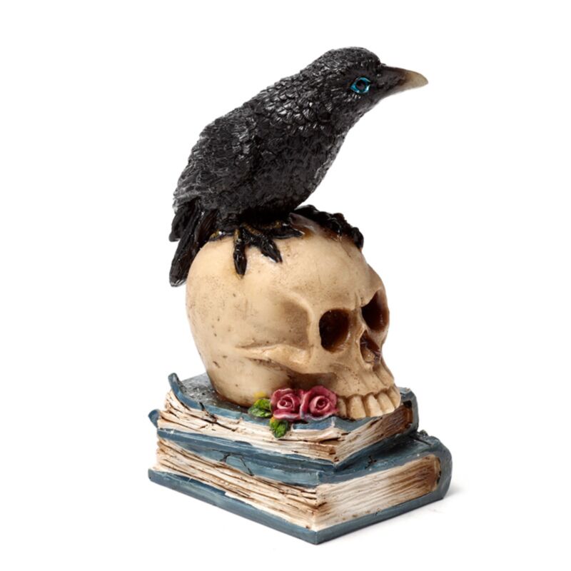 Corvo empoleirado numa caveira e livros - Image 4