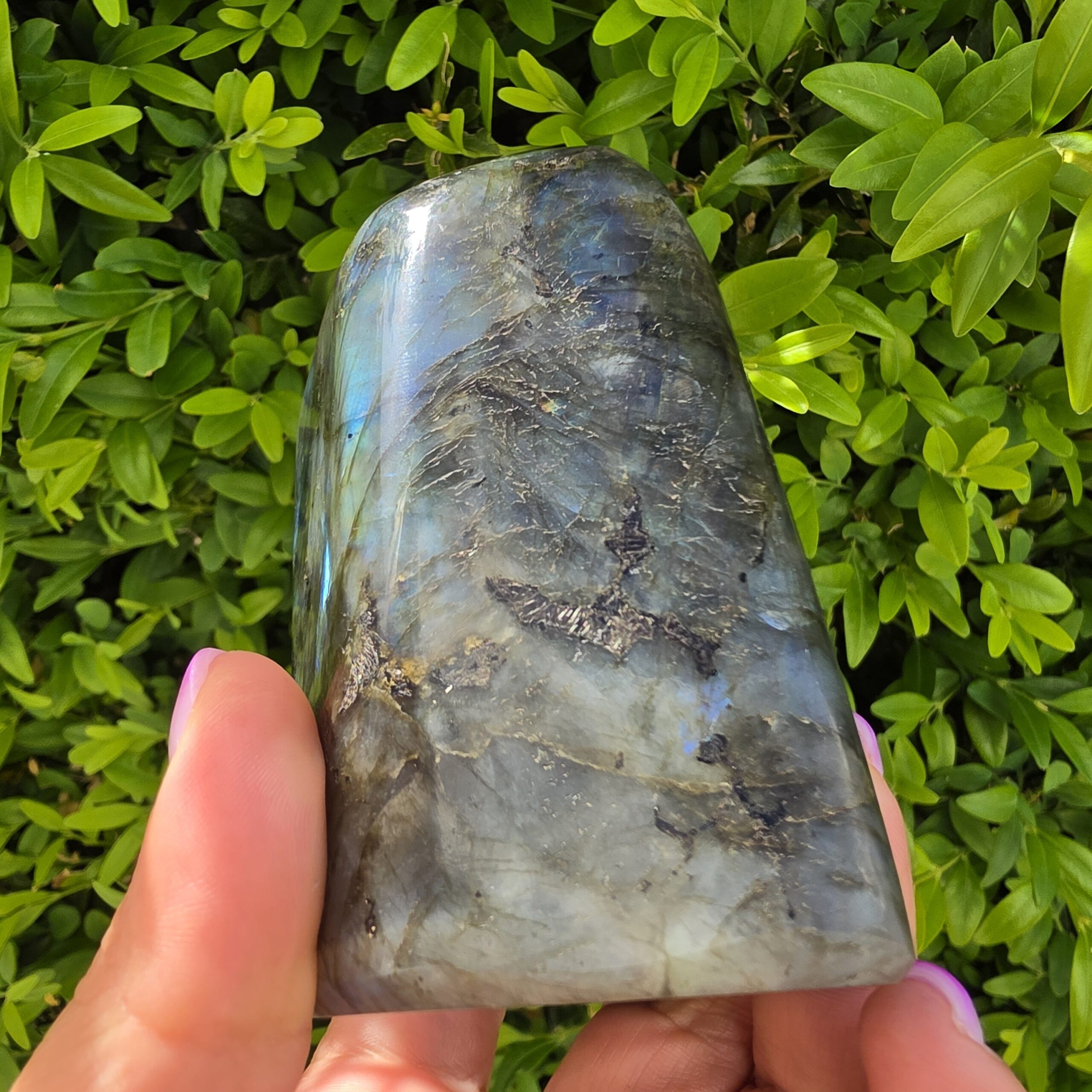 Labradorite 671g - Image 4