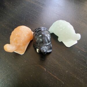 Tartaruga mix