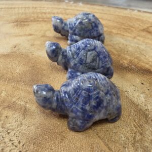 Tartaruga Sodalite